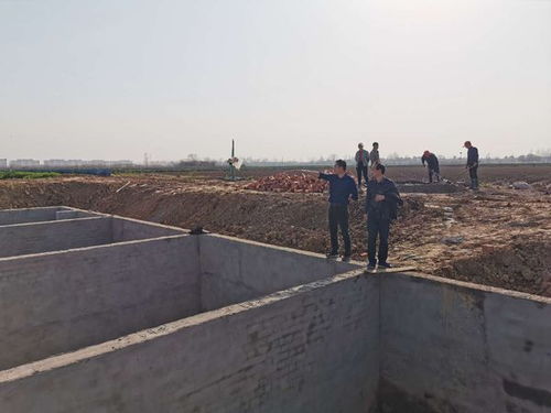 安徽省肥西县农业农村局 出实招助力渔业复工复产转型升级