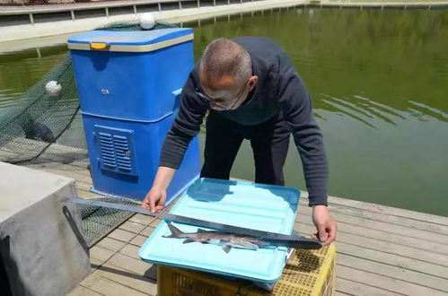 甘肃 天水又一水产养殖获 农业农村部水产健康养殖示范场 称号