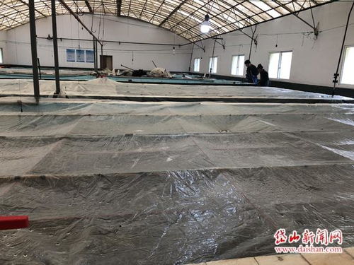消除疫情影响 我县水产养殖行业逐渐恢复生产