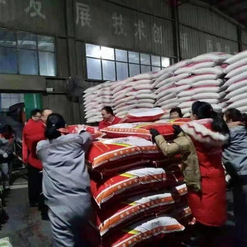 饲料产业 生产销售迎高峰 全员上阵保供应