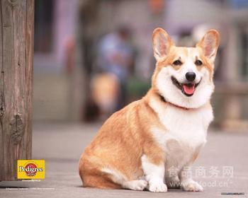 宠物饲料生产设备厂址