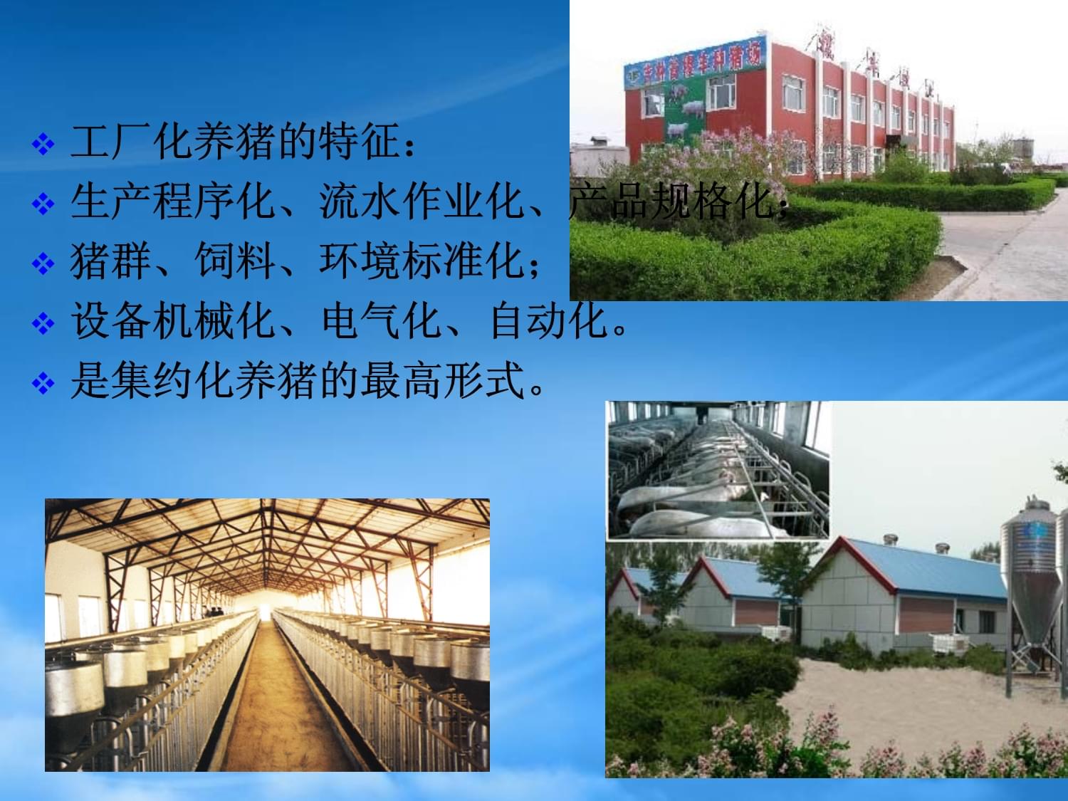 工厂化养猪场的建设