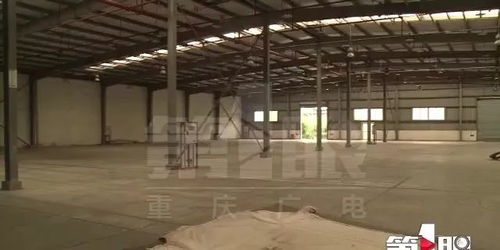 鱼价上涨时,饲料厂停产无法供货,难退养殖户背巨债无料喂鱼