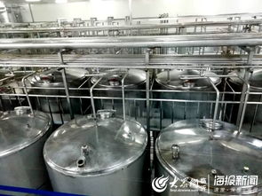 直击乳制品生产流程 透明工厂 体验日活动走进益膳房 临沂新闻