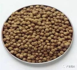 水产饲料的膨化料 革命 已然兴起,这些技术要点你必须知道