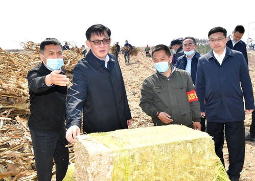 张志军调研秸秆全量化处置工作时强调 加快推进秸秆离田进度全力抓好备春耕 提高秸秆综合利用水平实现高质量发展