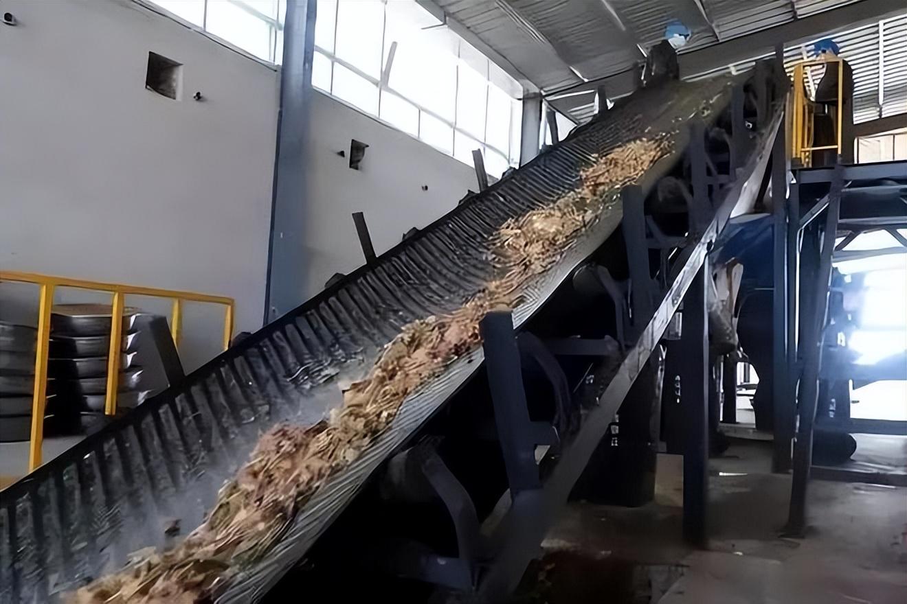 而他也凭借着蟑螂降解垃圾,生产昆虫蛋白饲料,蟑螂粉,养殖肉鸡,鲤鱼
