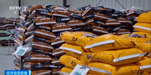 卖一头猪,亏200元 多家饲料企业宣布涨价 养殖户 压力山大