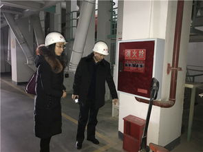 东坡区畜牧兽医局对饲料生产企业进行节前安全生产大检查
